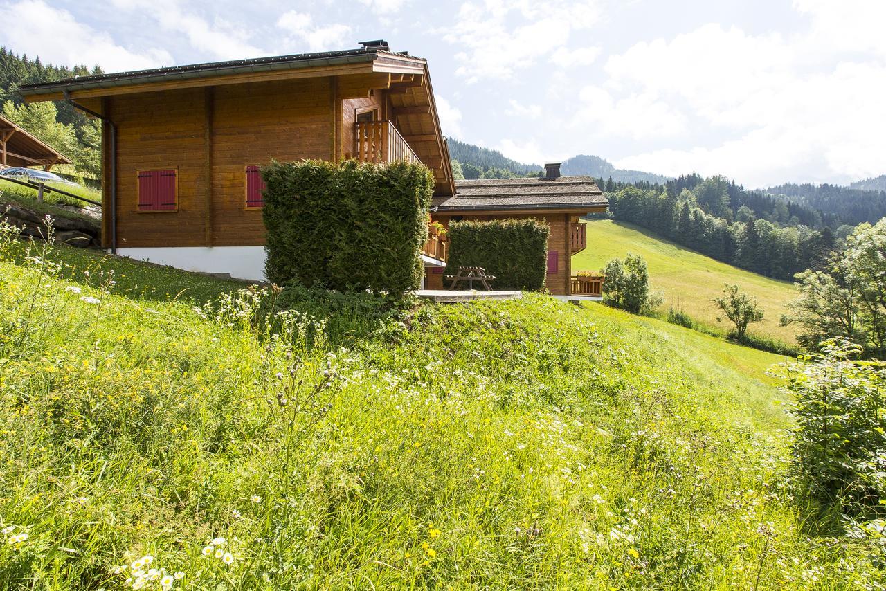 Les Chalets Du Danay Saint-Jean-de-Sixt Buitenkant foto